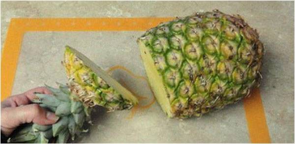 Grow your own pineapple in a pot