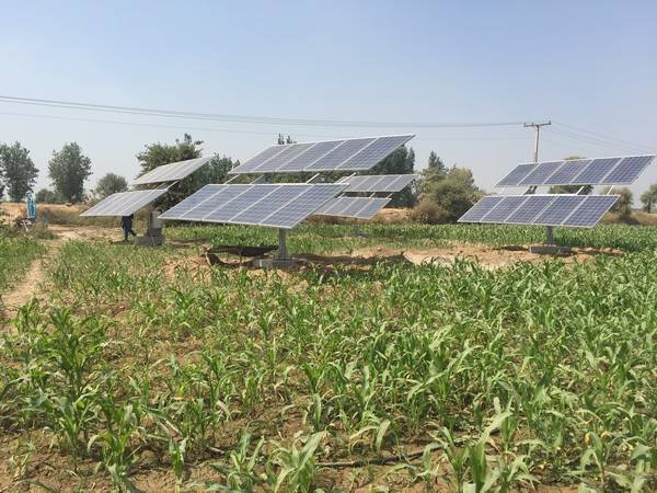 Watering down: Business takes on sustainable farming