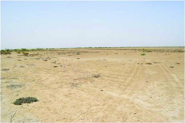 How Sindh’s Larr belt became barren