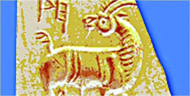 Animals of the Indus Seals