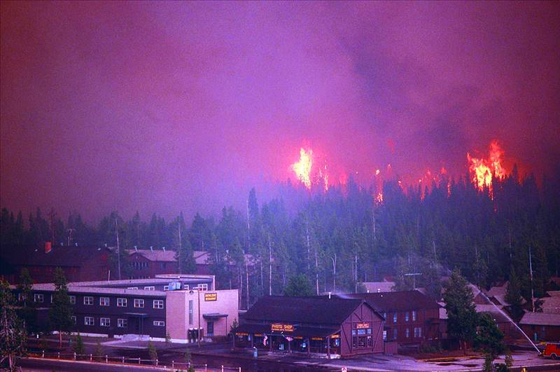 Up in flames (1988)