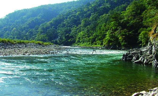 The Pull of the Himalayan Golden Mahseer