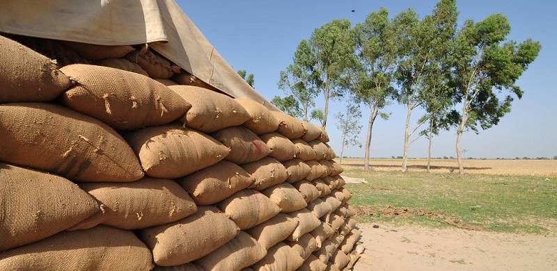 Development Dichotomies: Limiting Discretion in Wheat Procurement
