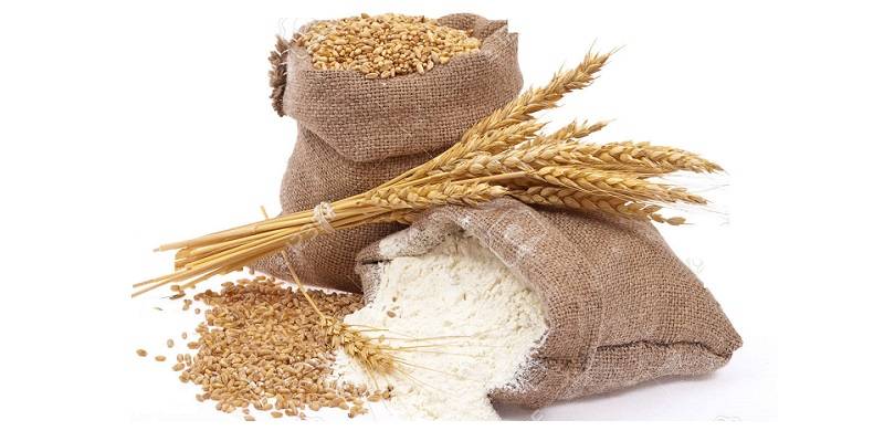 Towards A Wheat Procurement Policy