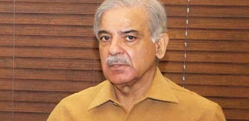 Shehbaz Sharif Slips On Stairs And Falls, Sustaining Minor Injuries: Doctors Advise Complete Rest