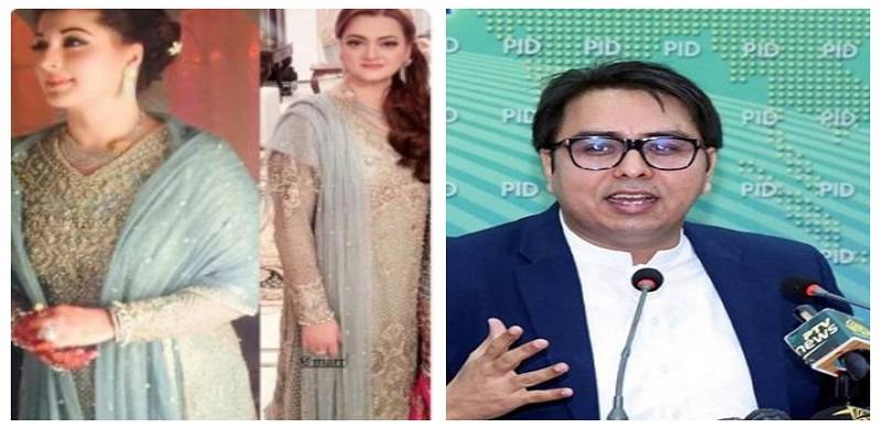 SAPM Shehbaz Gill's Nasty Comment About Maryam Nawaz And PMLN Leader Criticised