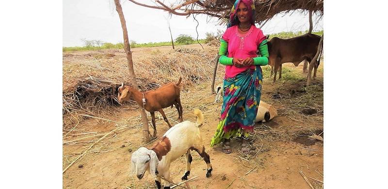 Rural Women Are Looking For Opportunities, Not Handouts