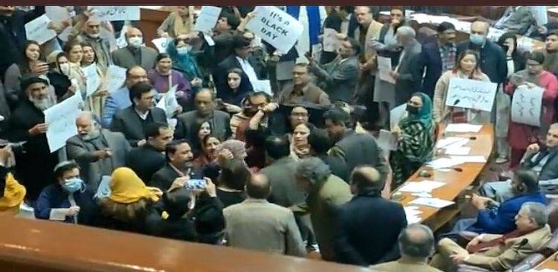 PPP MNA Shagufta Jumani Slaps PTI's Ghazala Saifi During NA Session