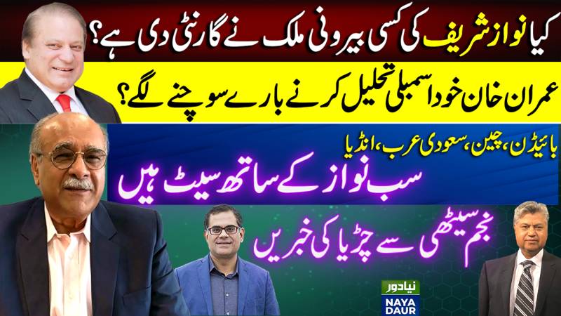 Is National Govt Coming? | When Will Fresh Elections Come? | Naya Daur | Najam Sethi Official