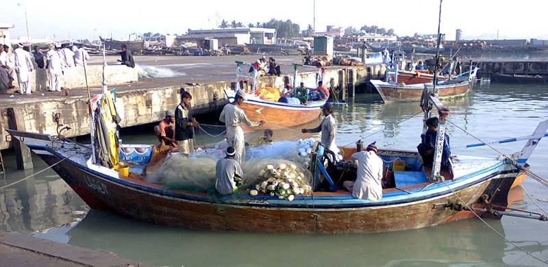 ‘Gateway To Unemployment’: Pasni Fishermen Demand Restoration Of Inactive Fish Harbour