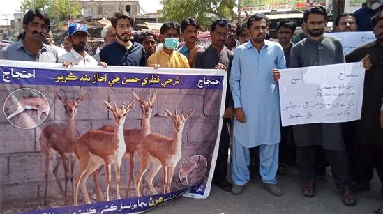 Protecting Wildlife: Killing Of Some 25 Rare Species Of Deer Goes Unchecked In Tharparkar