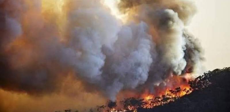 3 Burnt To Death In Balochistan As Forest Fire Remains Uncontained For 10 Days