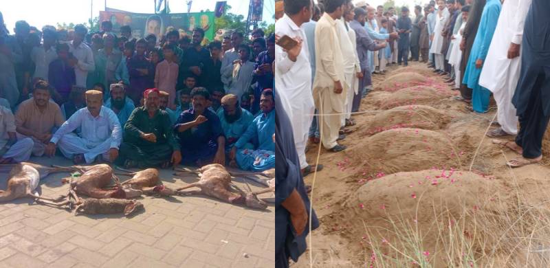 Muslim And Hindu Villagers Of Thar Stand Up Against Ecological Destruction, Jointly Bury Deer Killed By Poachers