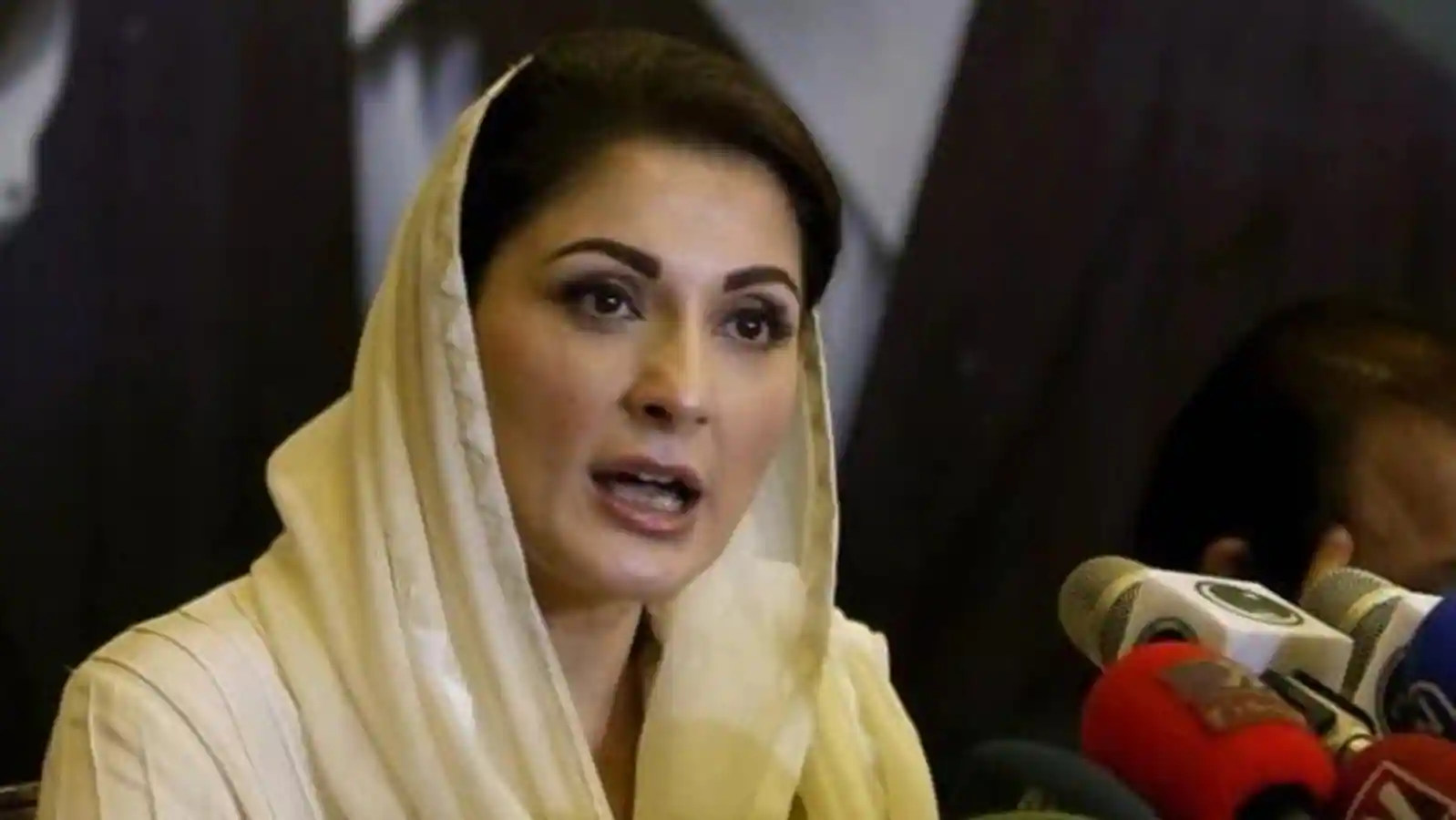 Maryam Says SC Called Former PM Imran A 'Liar'