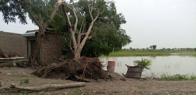 Questions Arise About Shifting Weather Patterns As Tornado Strikes Parts Of Sindh