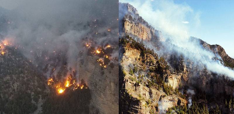 Long-Term Impacts Of ‘Terrible’ Fire Season In Pakistan’s Mountains