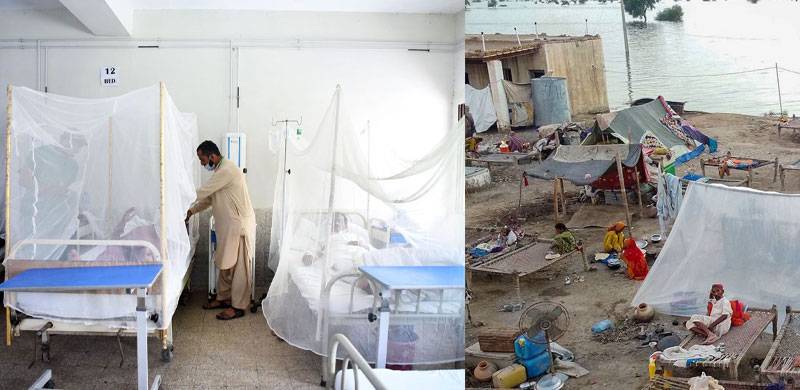 Dengue Surges In Waterlogged Pakistan In Wake Of Floods