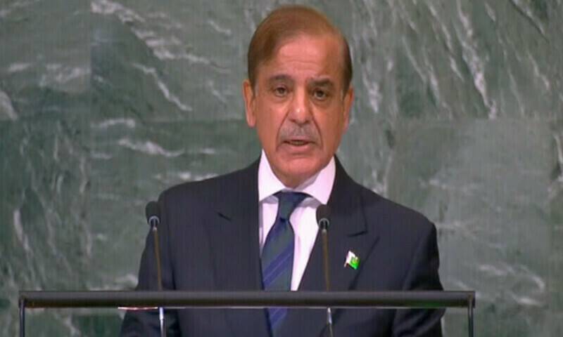 Pakistan Seeks Peace With India, Other Neighbours: PM Shehbaz