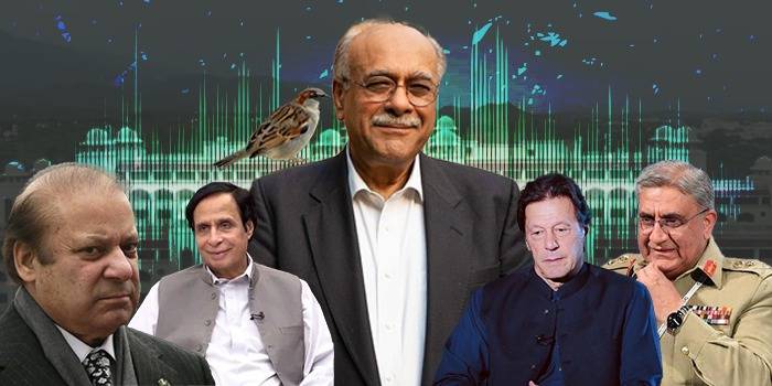 No More 'Leaks': Imran's Dark Web Man Delivered Ultimatum, Najam Sethi Says