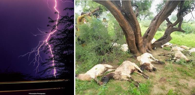 Deadly Lightning Adds To The Misery Of Flood Affectees