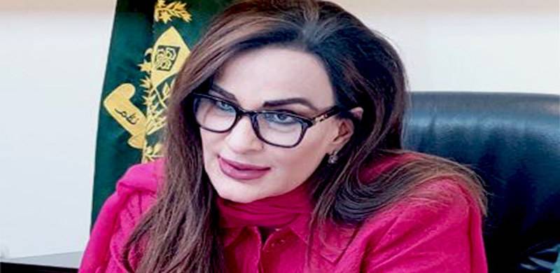 Pakistan Lacks Capacity To Cope With Climate Disaster Of The Century, Sherry Says