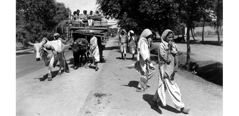 Empathising With Partition Victims: Mercy Deaths Are Not The Same As Honour Killings