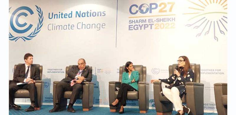 Pakistan And Climate Reparations: Leading The Charge At COP27