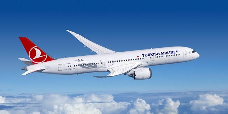 Drunk Passenger 'Forces' Turkish Aircraft To Land In Karachi