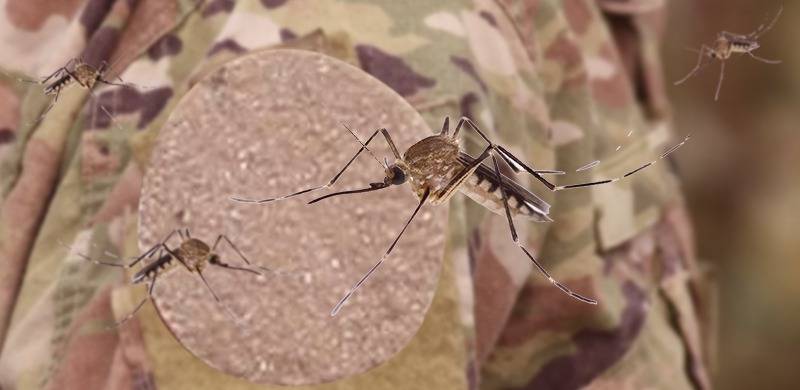Combatting The Threat Vector-Borne Diseases Pose To Soldiers