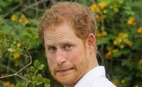 'Stupid Boy' Prince Harry's Taliban Killings Used To Justify Iran's Hanging Of Brit Citizen