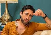 Ali Rehman Is Single... And Ready To Mingle