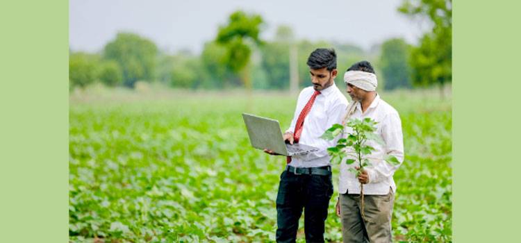 Bank Alfalah And SAWiE Join Hands To Promote Climate-Smart Agriculture In Pakistan