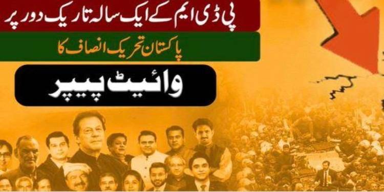 PTI Publishes ‘White Paper’ On Govt Performance, ‘Atrocities’