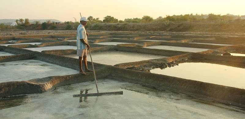 Traditional Salt Workers Of Gwadar Left Behind By Development