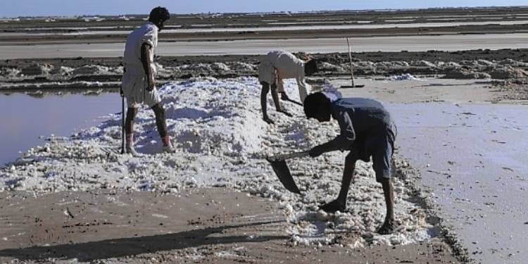 Labourers Suffering Miserably At Bhanbore Salt Factory