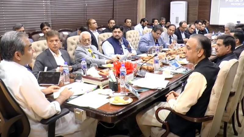 CM Naqvi Reshuffles Punjab Cabinet