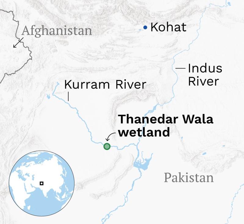 Hunting And Militancy Threaten Wetland Birds In Conflict-hit Northwest Pakistan