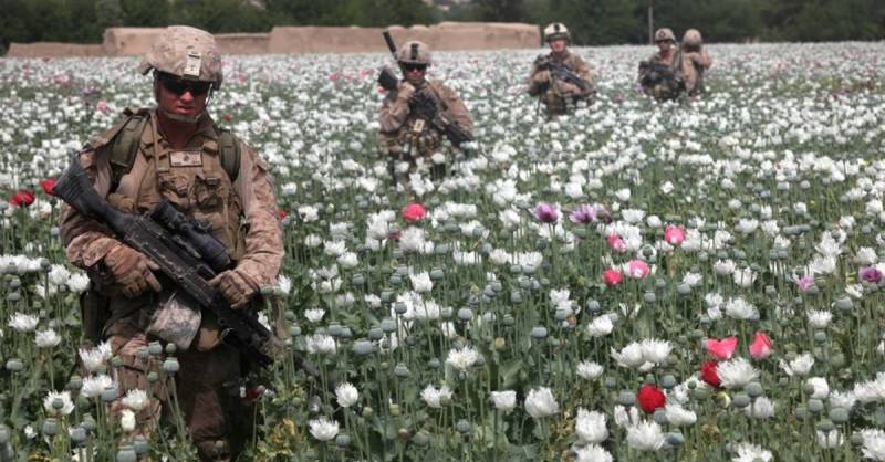 Malice Towards None & All: Deadly Drug Wars & Terrorism