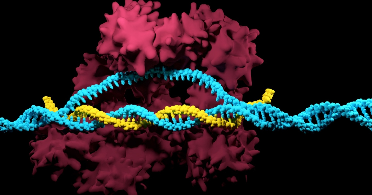 CRISPR Cas-9: Revolutionary Genome Editing Poses Ethical Challenges
