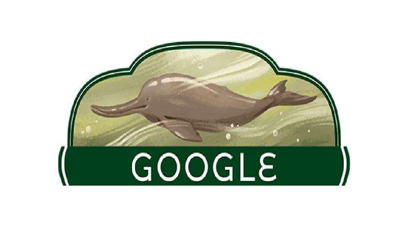 Google Doodle Pays Tribute To Pakistan's Endangered Blind Indus Dolphins
