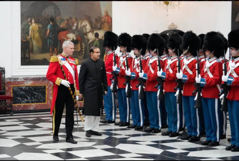 Ambassador Shoaib Sarwar Presents Credentials To Denmark's Queen