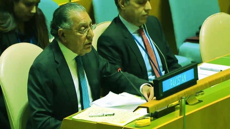 Israel's Goal Is To Erase Not Only People But Also Entire Idea Of Palestine: Pakistan's UN Envoy
