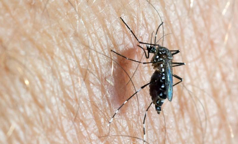 Vector-Borne Diseases in Pakistan: Threats Will Continue To Grow In 2024