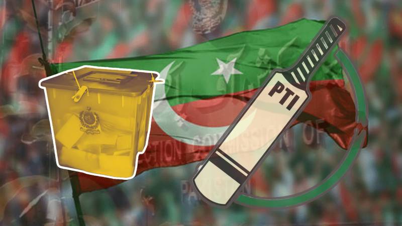 No 'Bat' Symbol, No Problem: PTI Launches Portal To Help Match Candidates To Symbols In Each Constituency