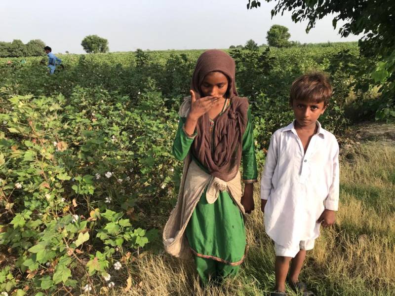 A girl and a small boy stand in a cotton field where they work as child labour, in the district Matiari of Sindh. Cotton picked from this farm may end up as a thread in garments which are ultimately sold on the shelves of places like Zara and H&M in Europe