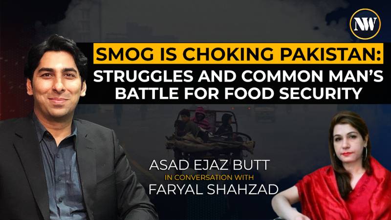 Air Pollution and Food Security: Assessing the Impact on Pakistan's Economic Struggles