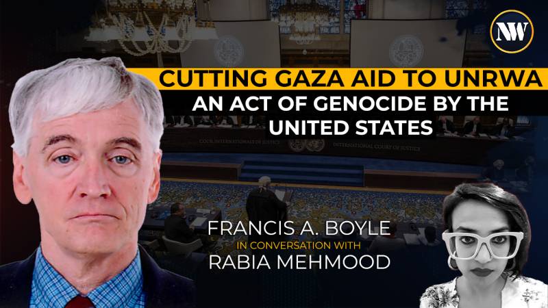 Israel, US & Allies are committing Genocide in Palestine: US Human Rights Expert