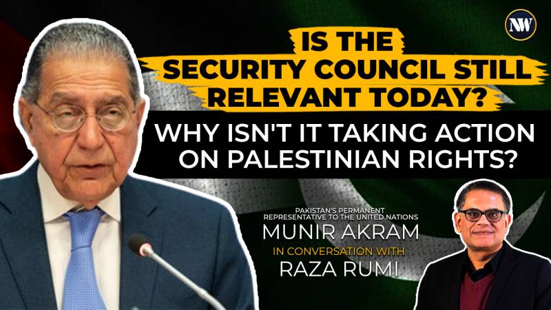 Palestine Crisis | Security Council Failures | Exposing Israel's Hidden Motive | Demanding UN Reform