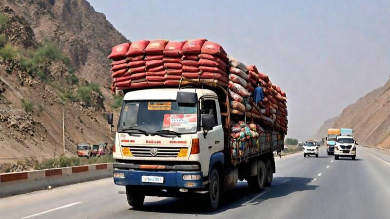 SC Urged To Protect Pakistan's 'Single Most Valuable Asset' From Overloaded Trucks