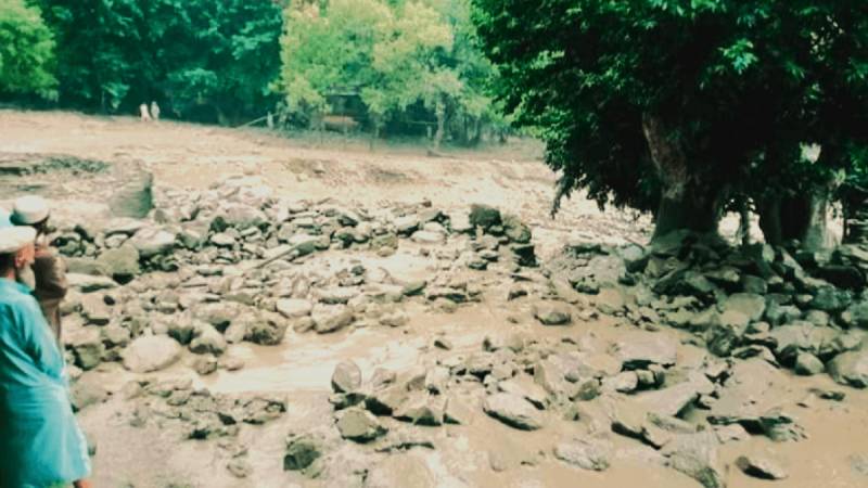 Chitral Struggles With Climate Change Impact, Seeks Assistance